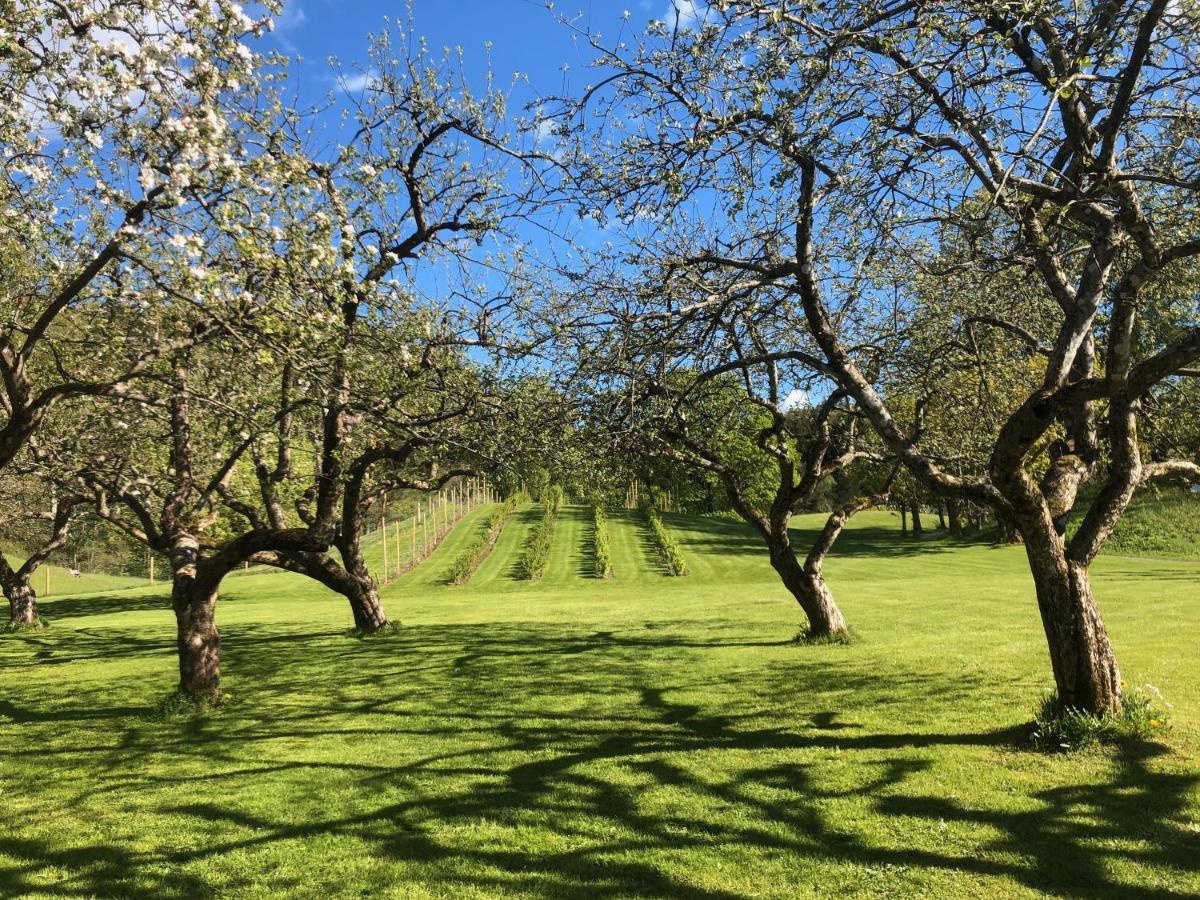 Boen Gård