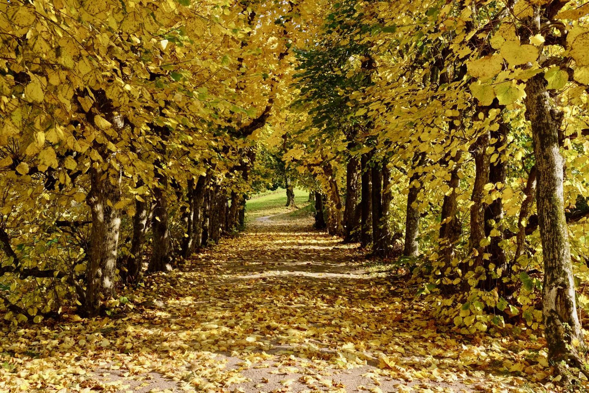 Boen Gård Kristiansand